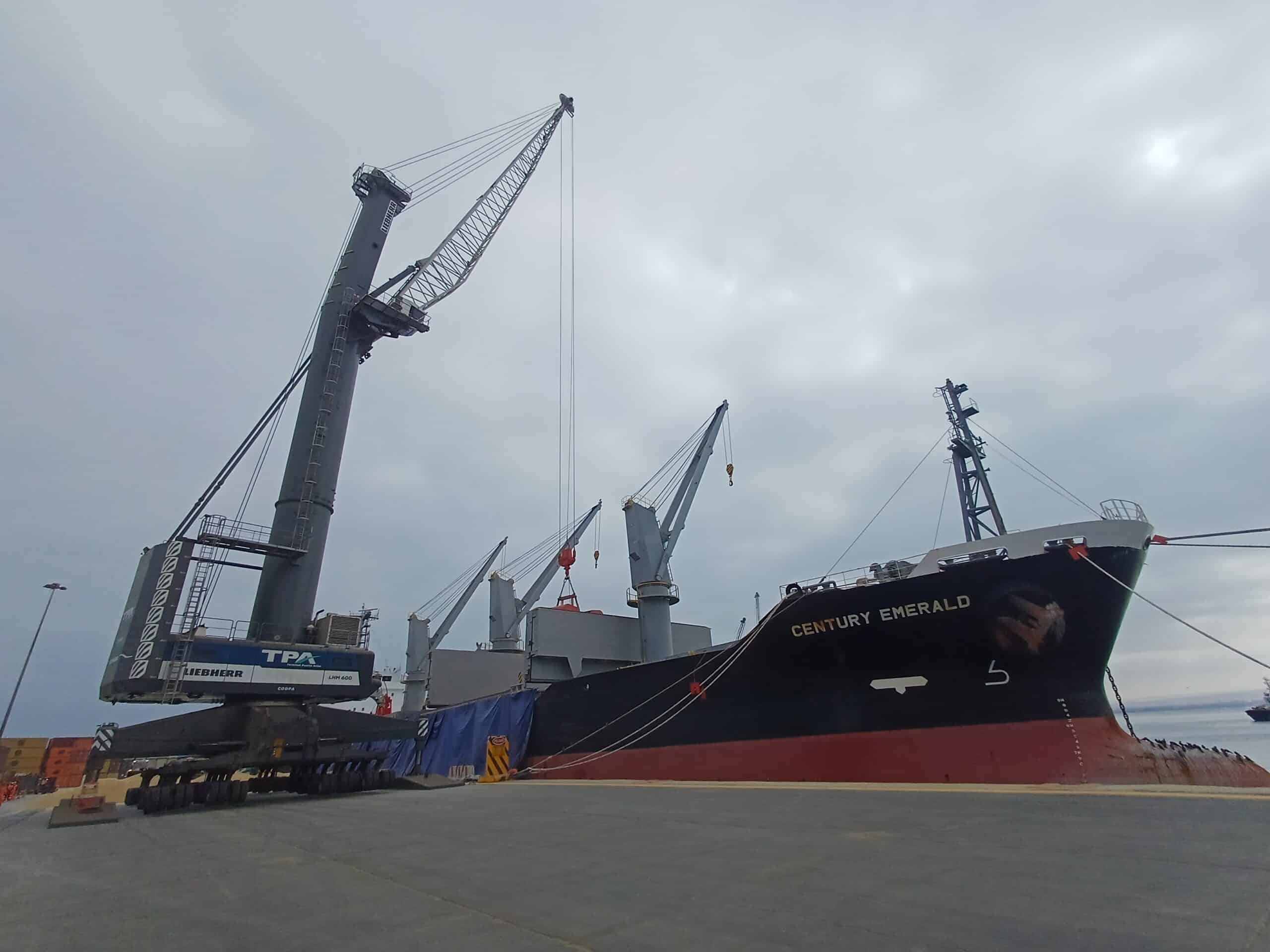 Bulk export logistics in Chile