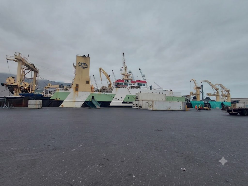 RoRo logistics Ecuador